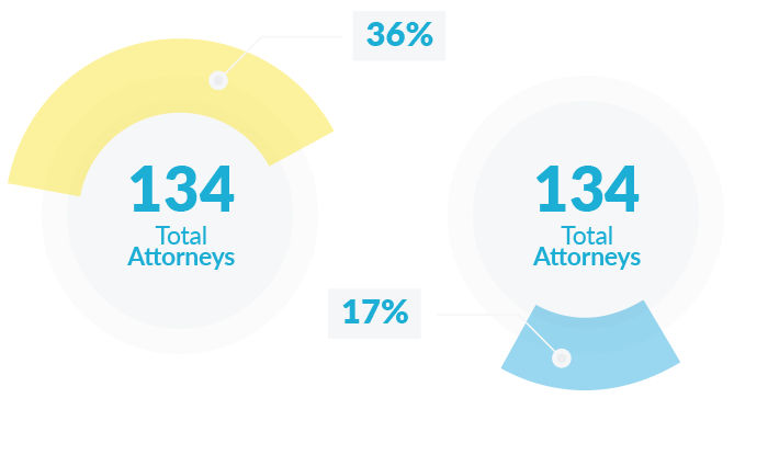 Pie chart of diverse attorneys