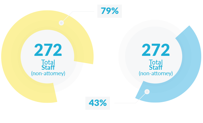 Pie chart of diverse employees